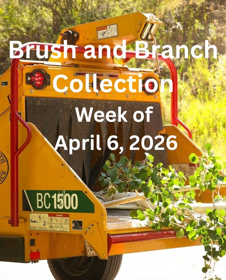 Denise Zingale for Bedford City Council Ward 1